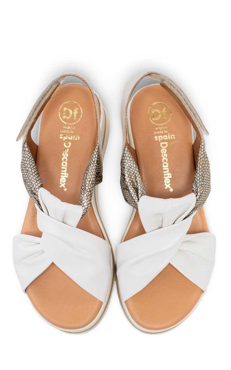 Cayetano Gimenez-25535