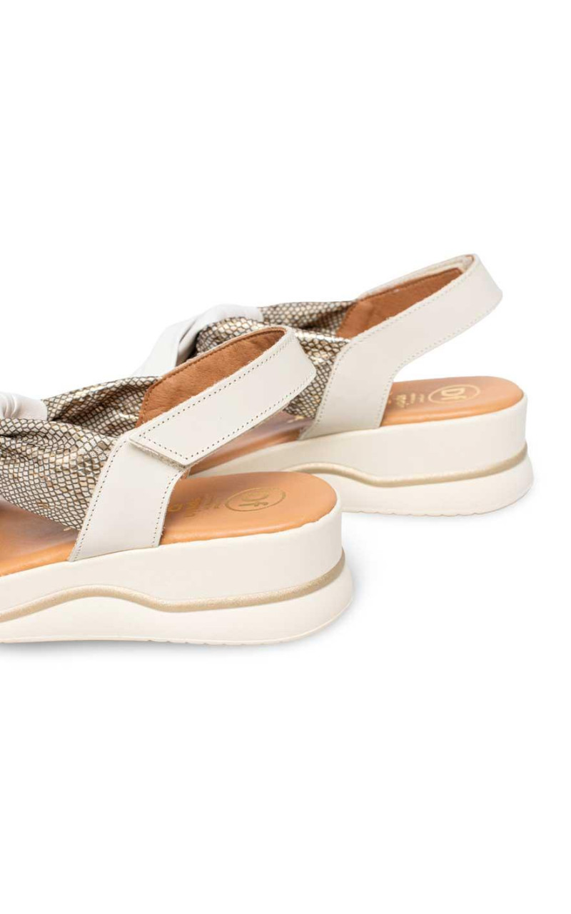 Cayetano Gimenez-25535