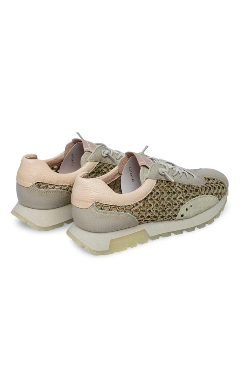 Hispanitas-RHV264741