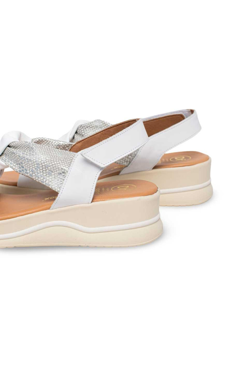 Cayetano Gimenez-25535