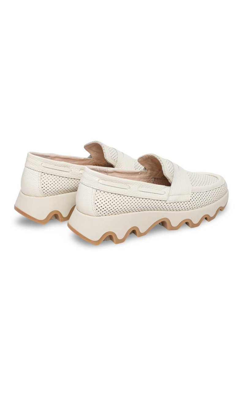 Nival-CYNTIA03 ANTIFAZ