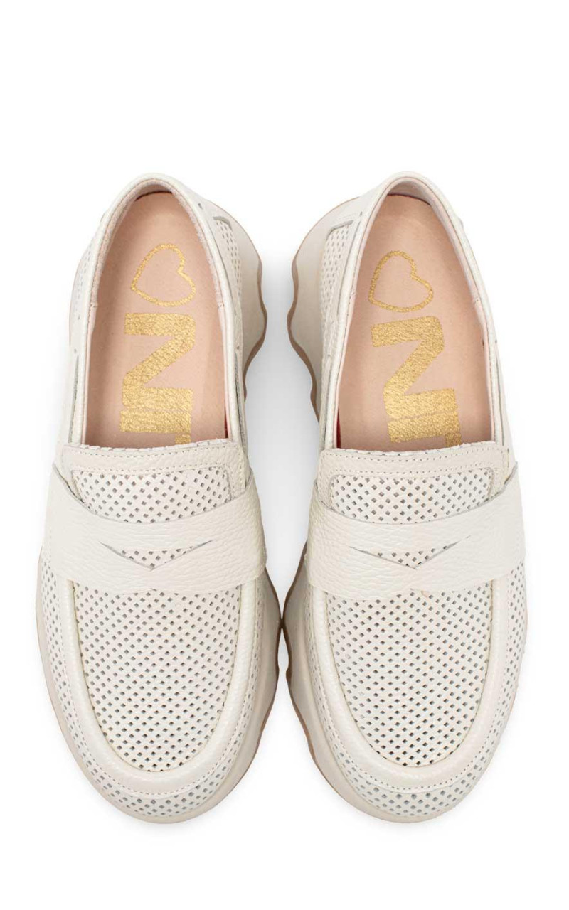 Nival-CYNTIA03 ANTIFAZ