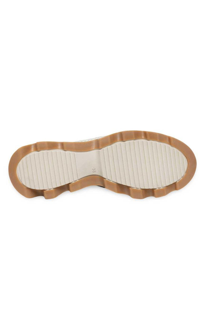 Nival-CYNTIA03 ANTIFAZ