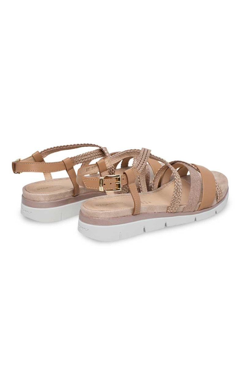 Stonefly-223748