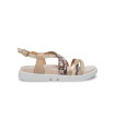 Stonefly-223871