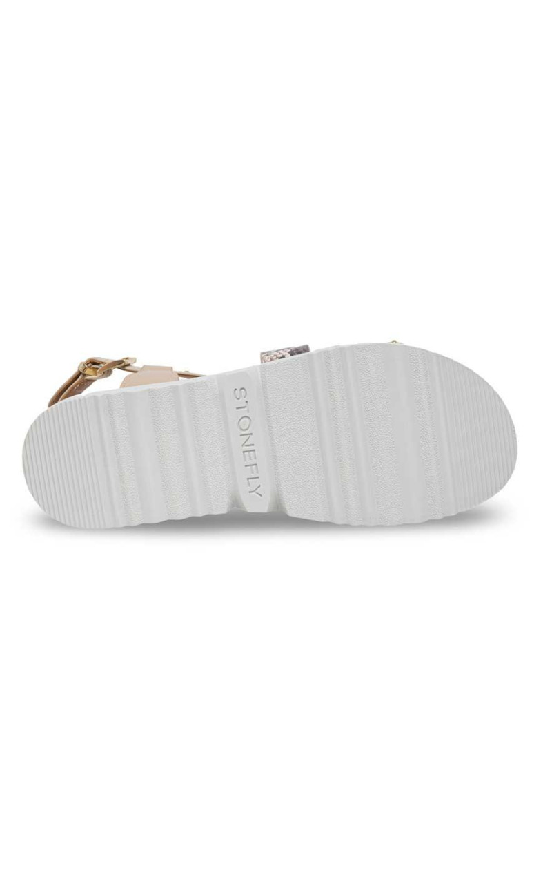 Stonefly-223871