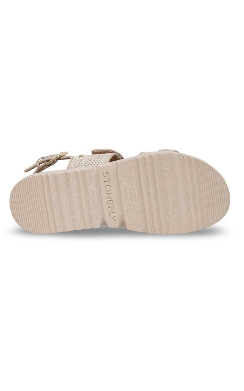 Stonefly-223727