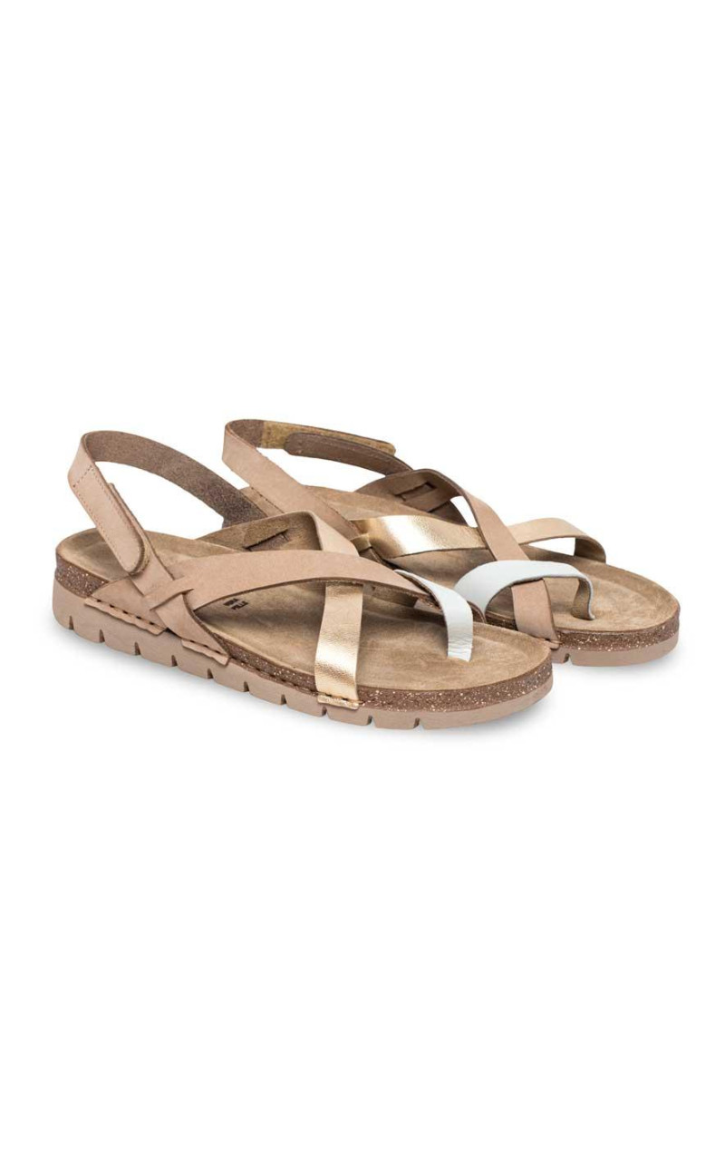 Walk & Fly-51000