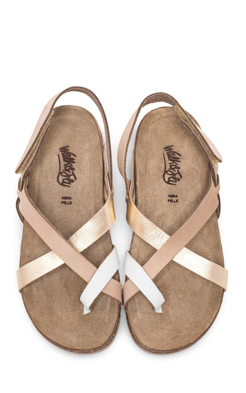 Walk & Fly-51000