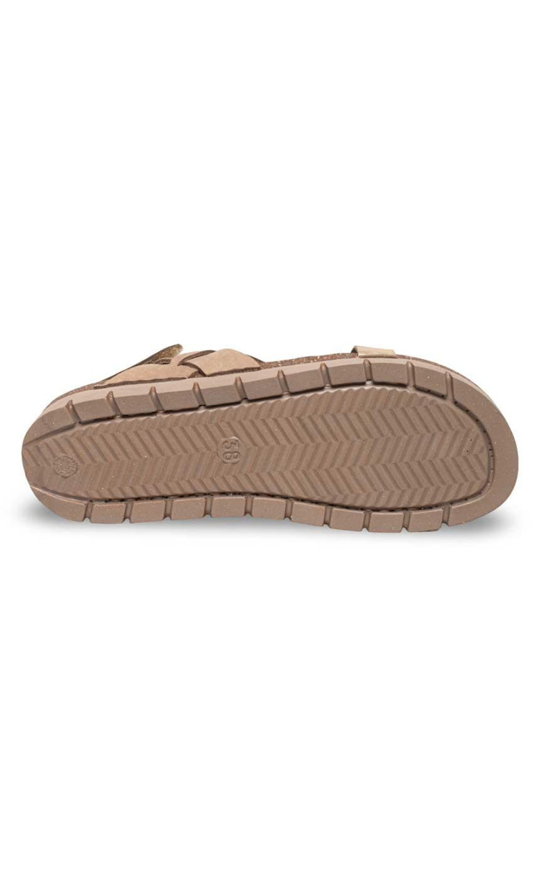 Walk & Fly-51000