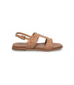 Stonefly-223741