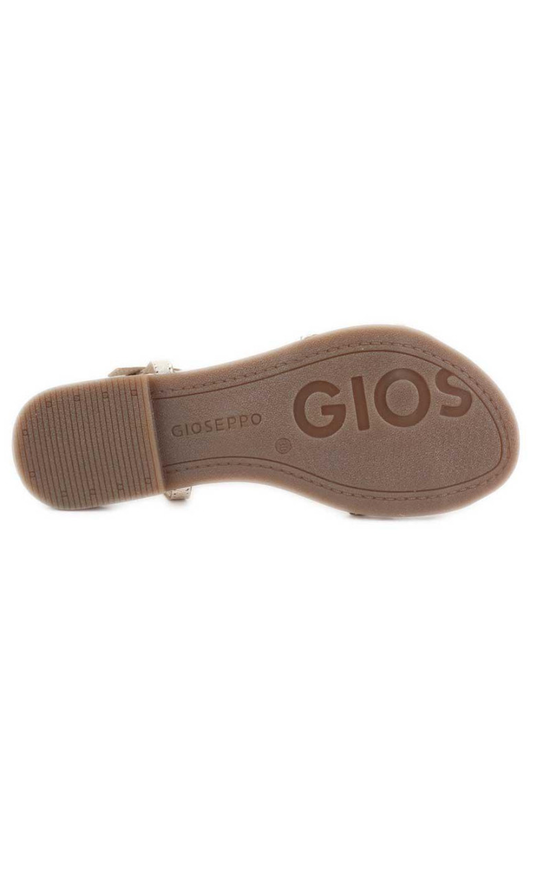 Gioseppo-NIOAQUE