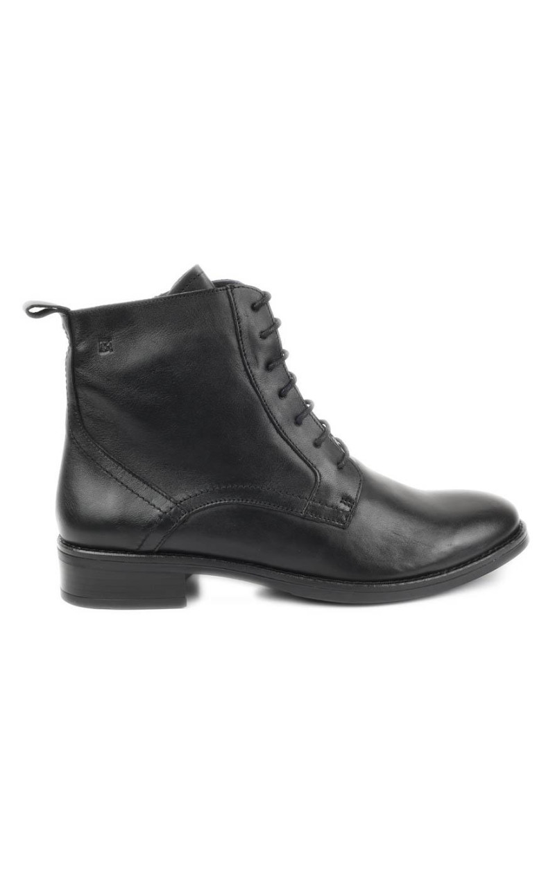 Dorking-D8343
