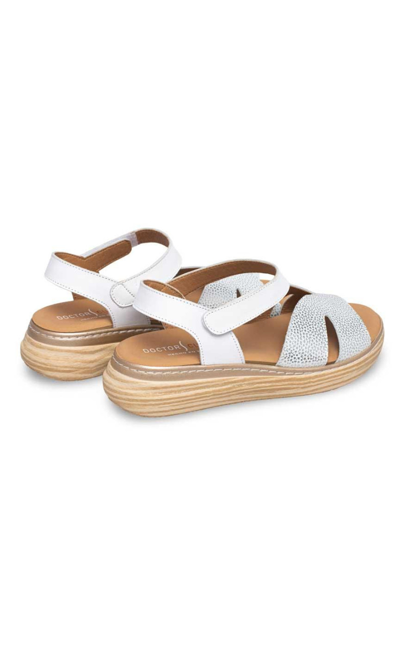 Doctor Cutillas-46018