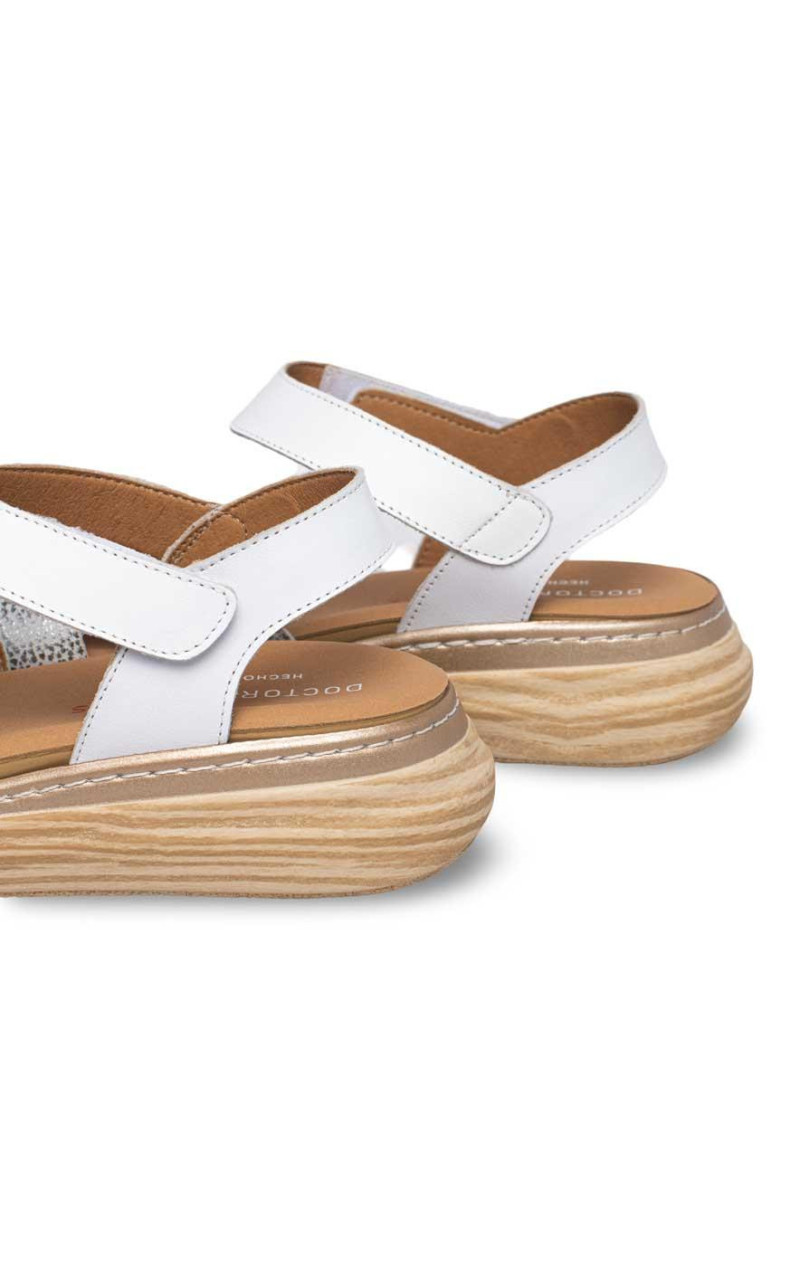 Doctor Cutillas-46018