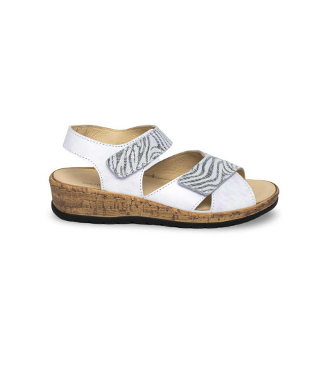 Doctor Cutillas-47212