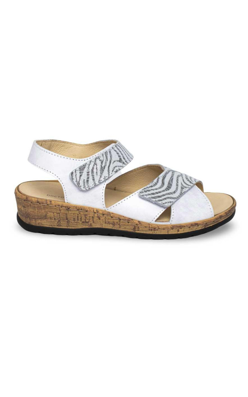 Doctor Cutillas-47212