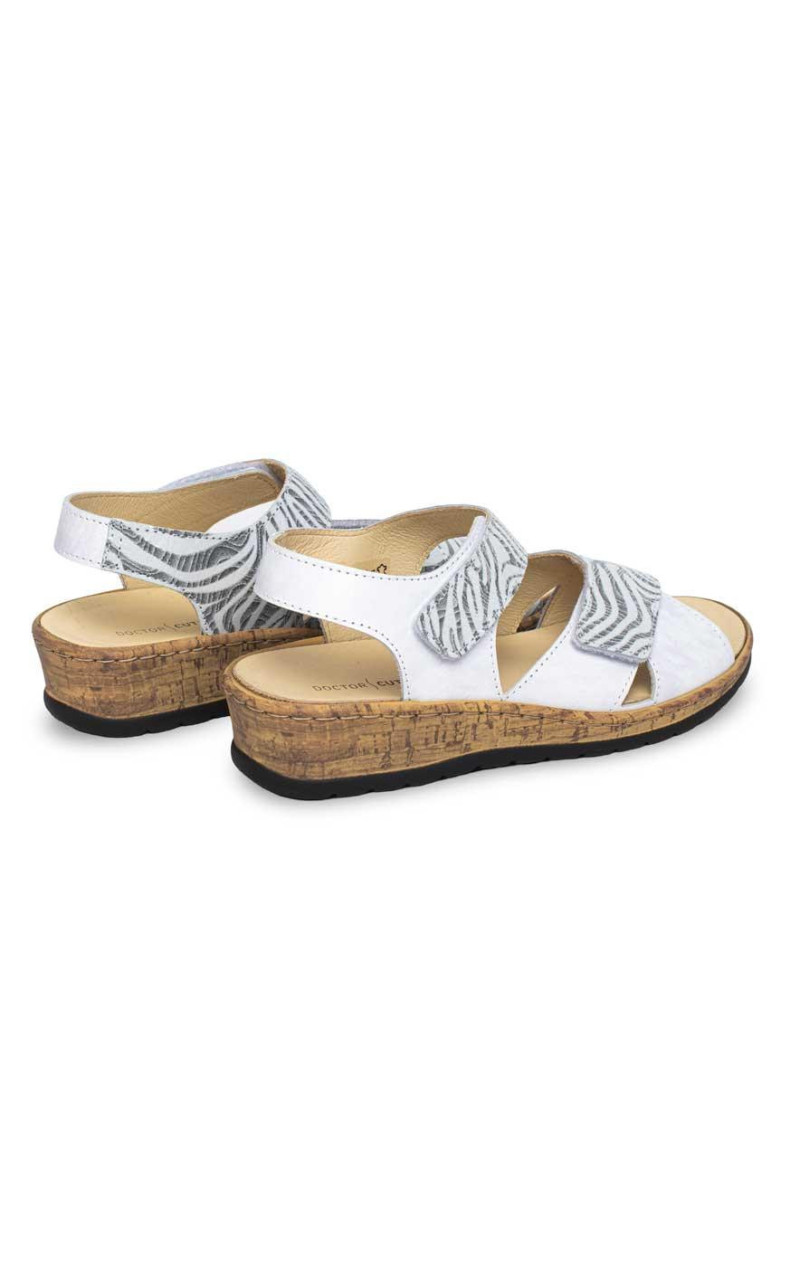 Doctor Cutillas-47212