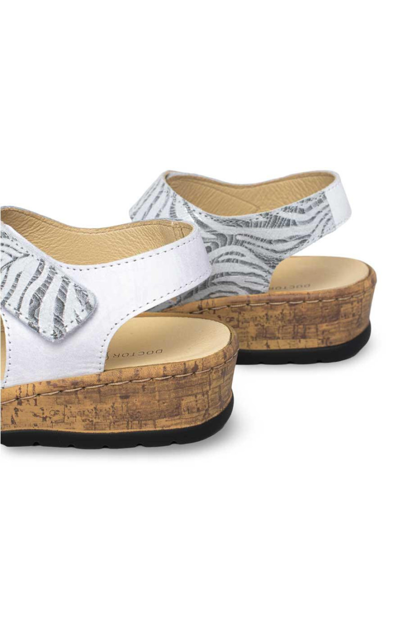 Doctor Cutillas-47212