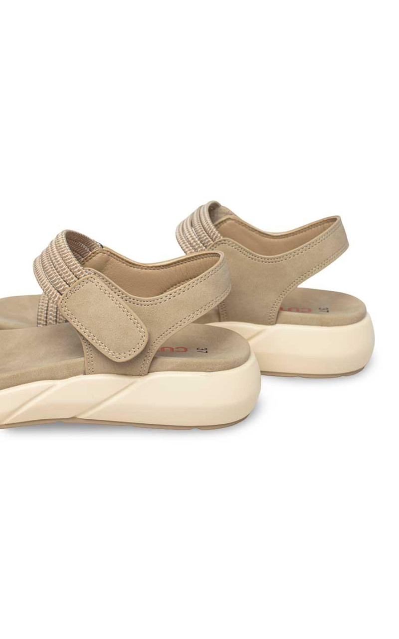 Doctor Cutillas-31408