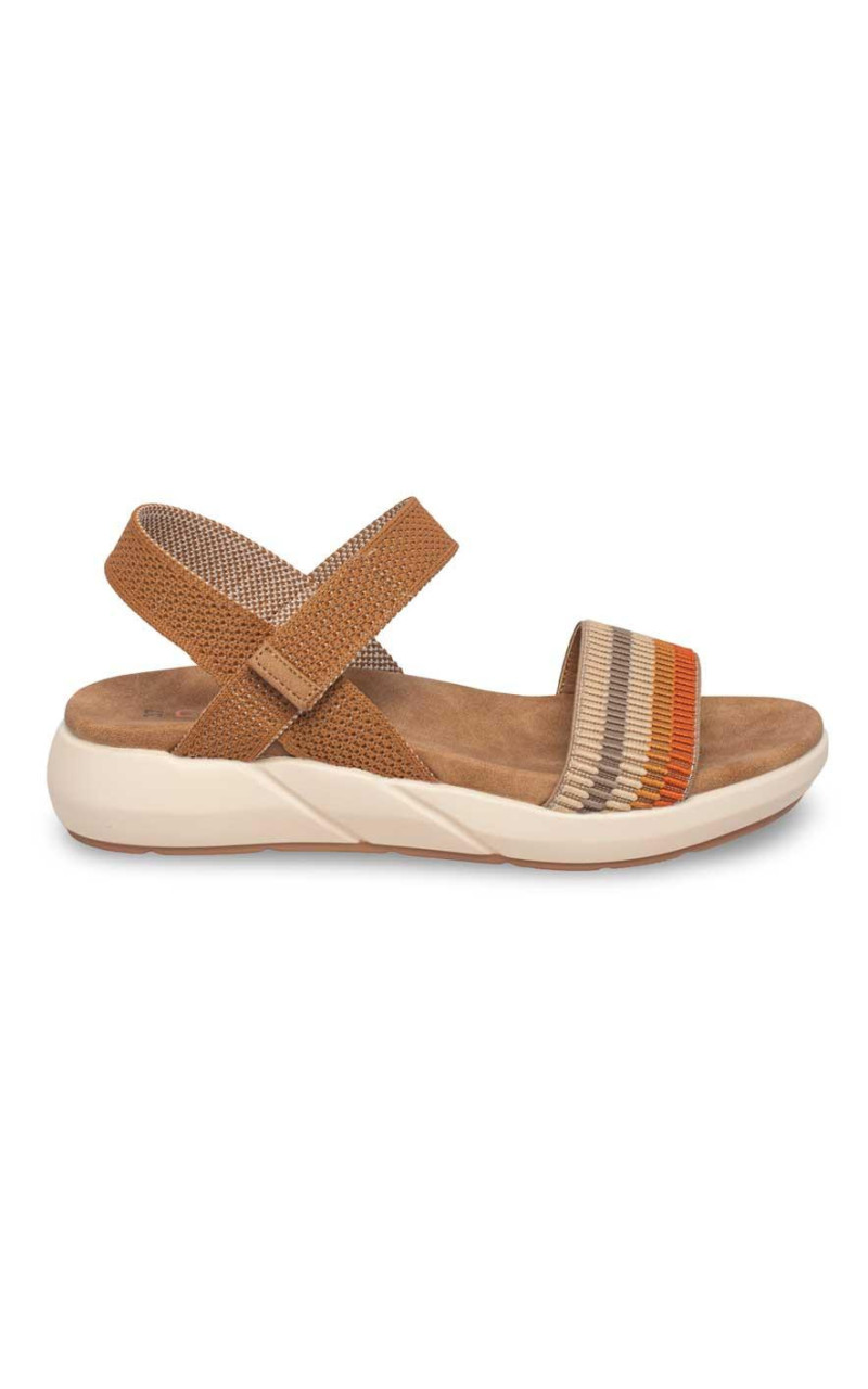 Doctor Cutillas-31411