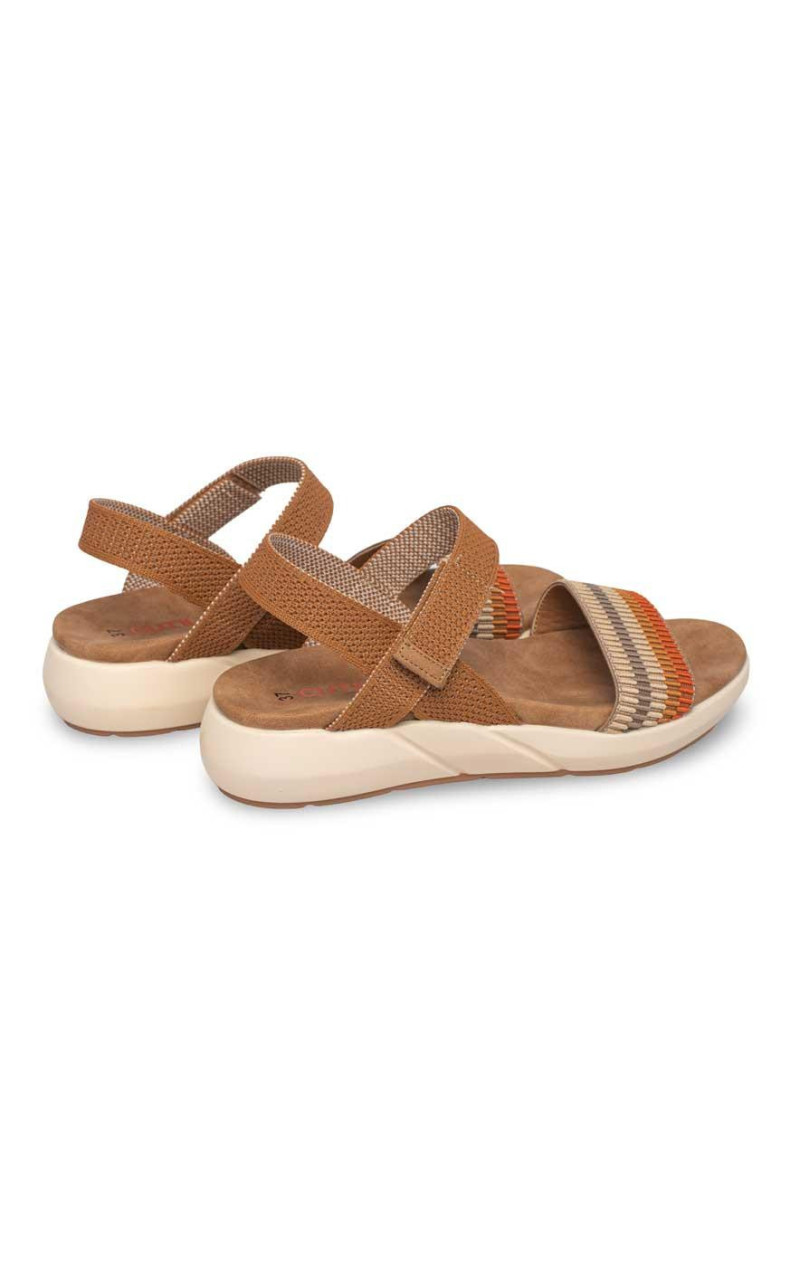 Doctor Cutillas-31411