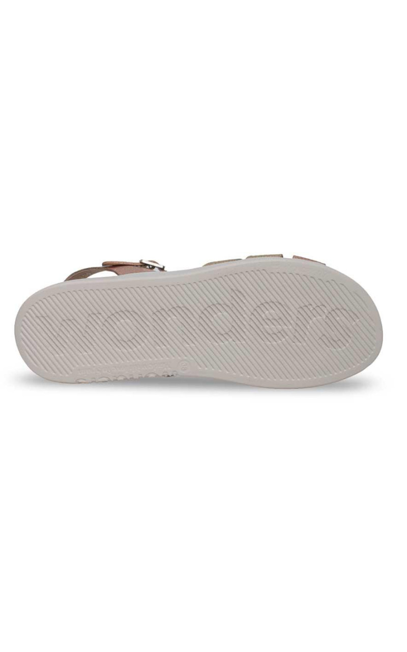 Wonders-C-6530