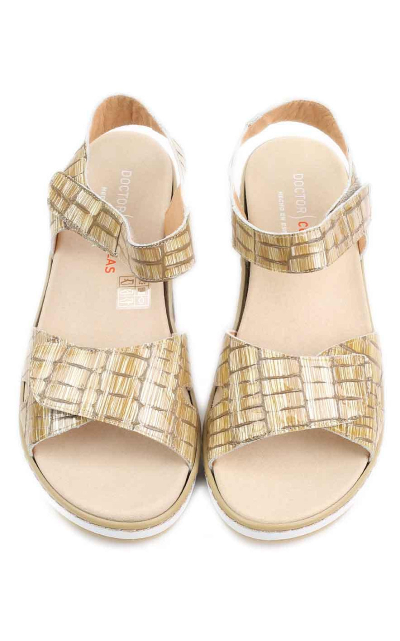 Doctor Cutillas-47501