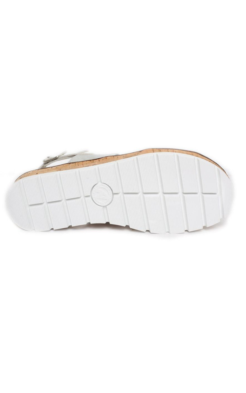 Doctor Cutillas-37101