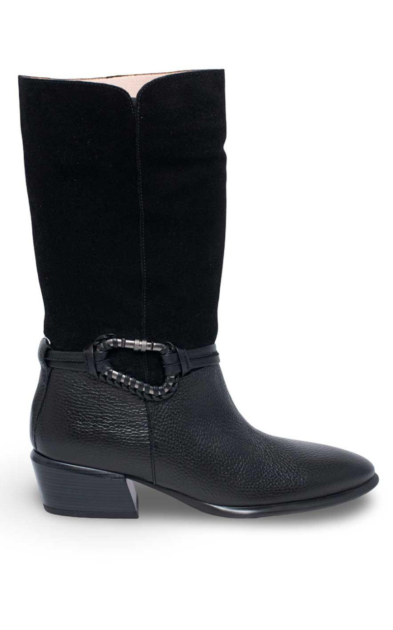 Hispanitas-PHI254298