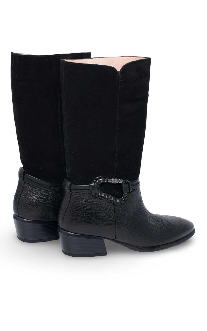 Hispanitas-PHI254298