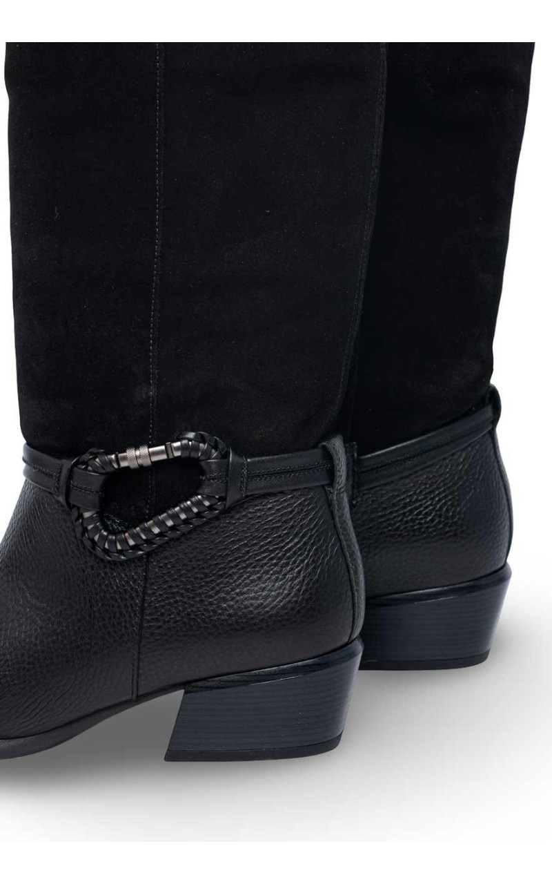 Hispanitas-PHI254298