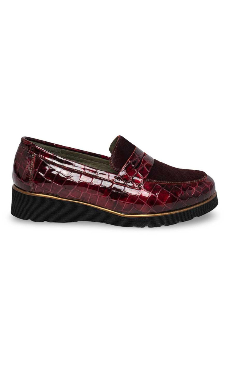 Nival-NOEL21 ANTIFAZ