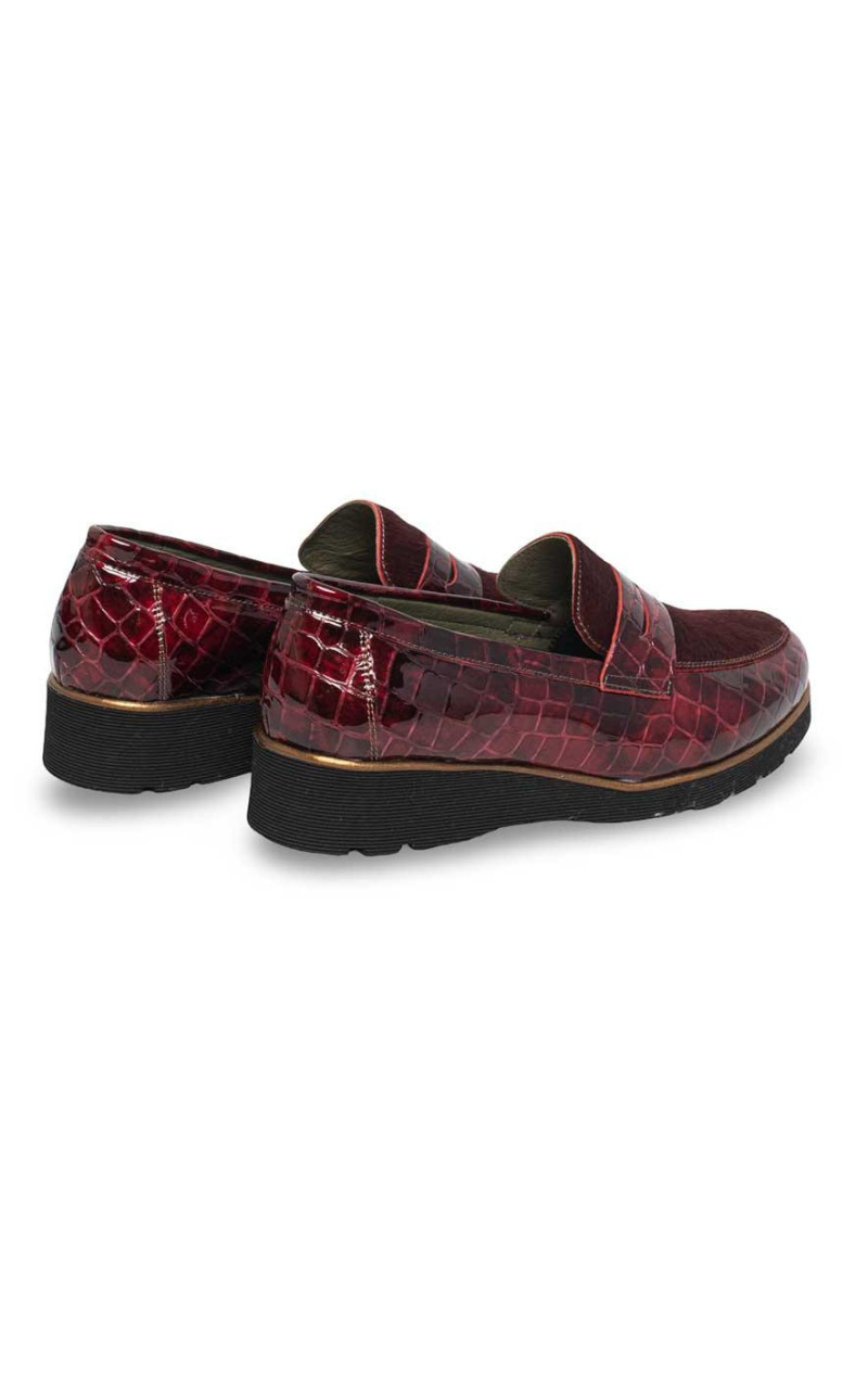 Nival-NOEL21 ANTIFAZ