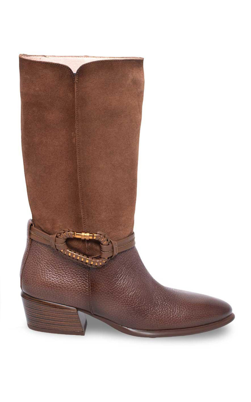 Hispanitas-PHI254298