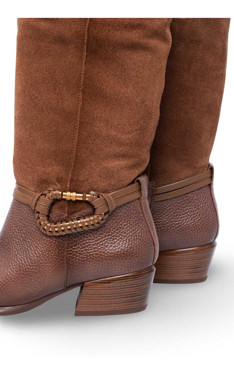 Hispanitas-PHI254298