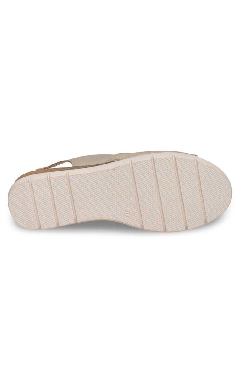 Doctor Cutillas-37850