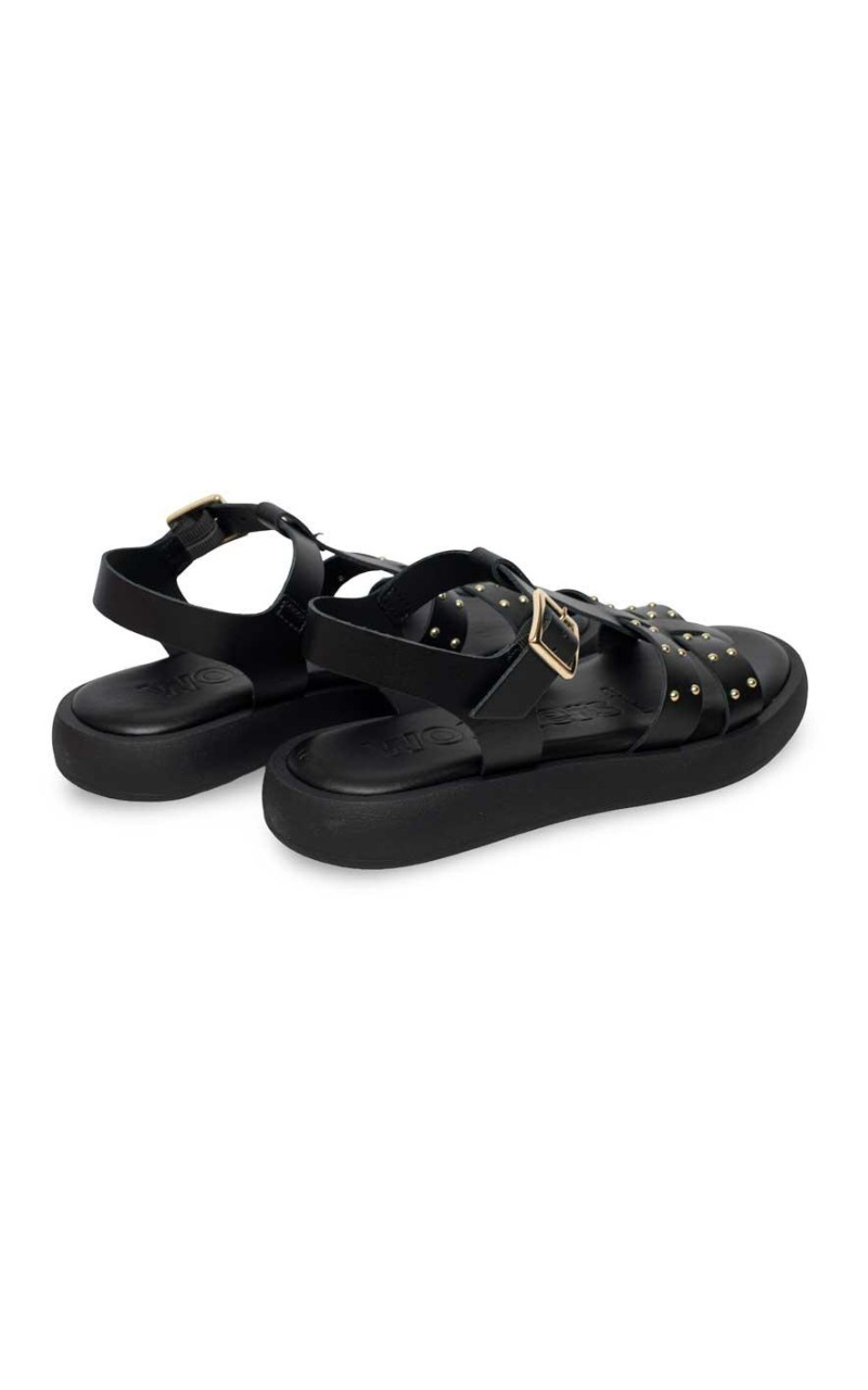 Wonders-AB-1567